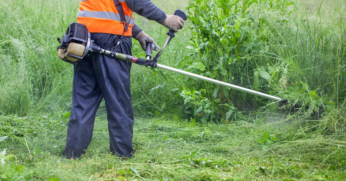 Muru pikalt niitmata jätnud mees sattus kohaliku omavalitsusega ränka konflikti