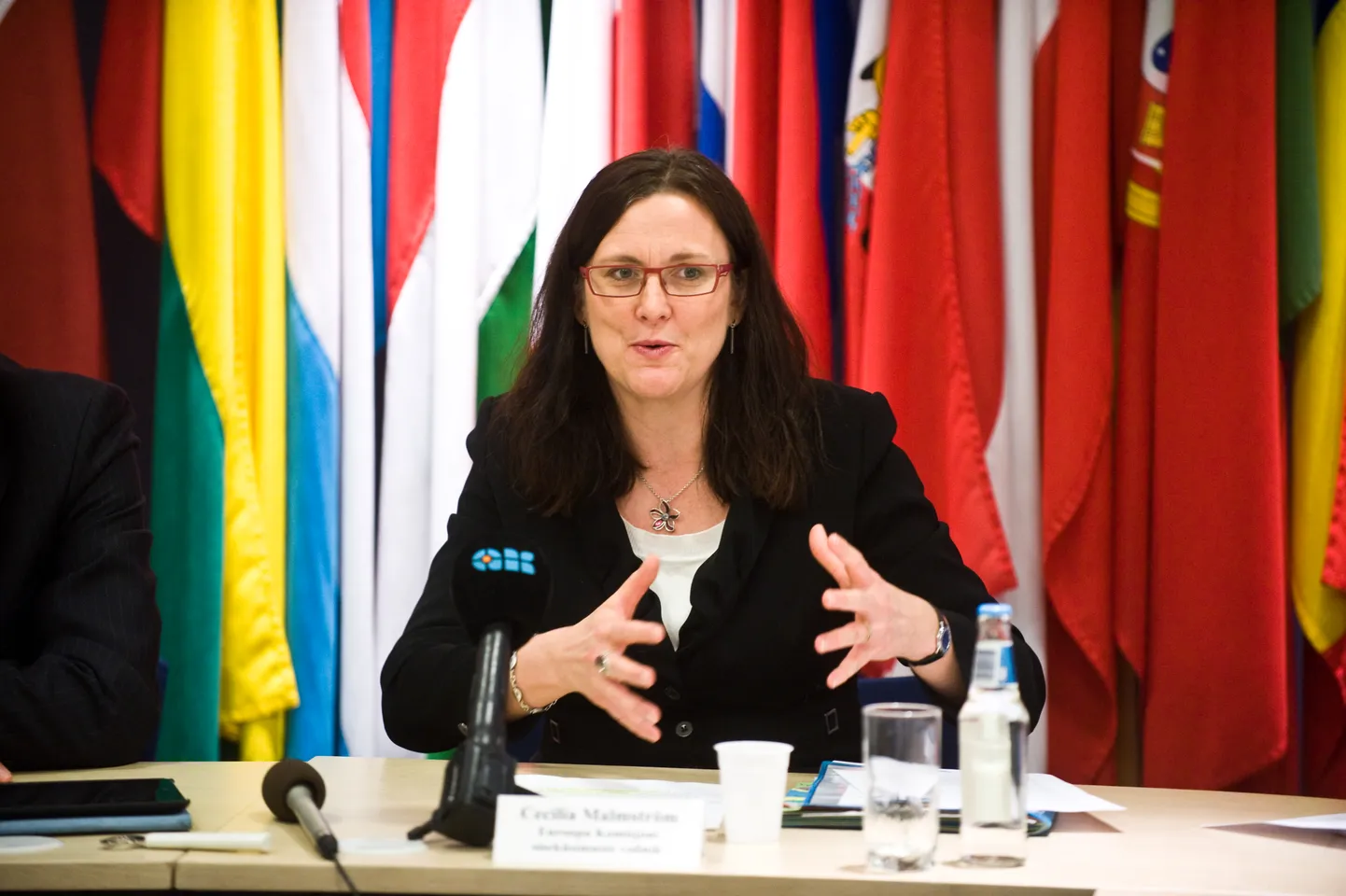 Euroopa Komisjoni kaubandusvolinik Cecilia Malmström.