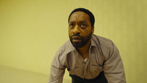 "Back Toads" and "Sundown" Bring New Generation of Web Culture to the Big Screen