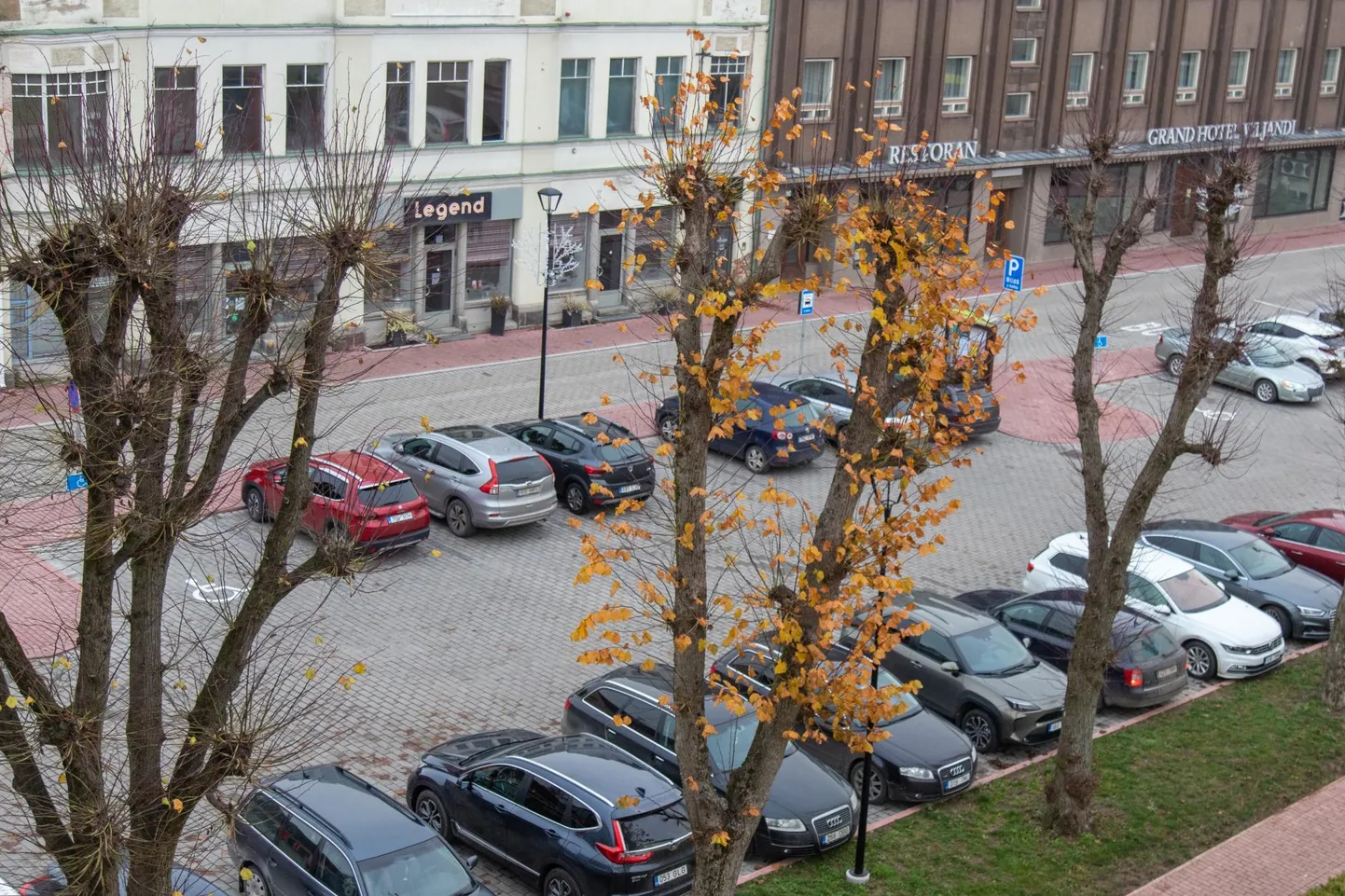 17. novembril tehtud fotol on näha, et üks pärn hoiab veel lehti kinni, samas kui teised tema kõrval on täiesti raagus.