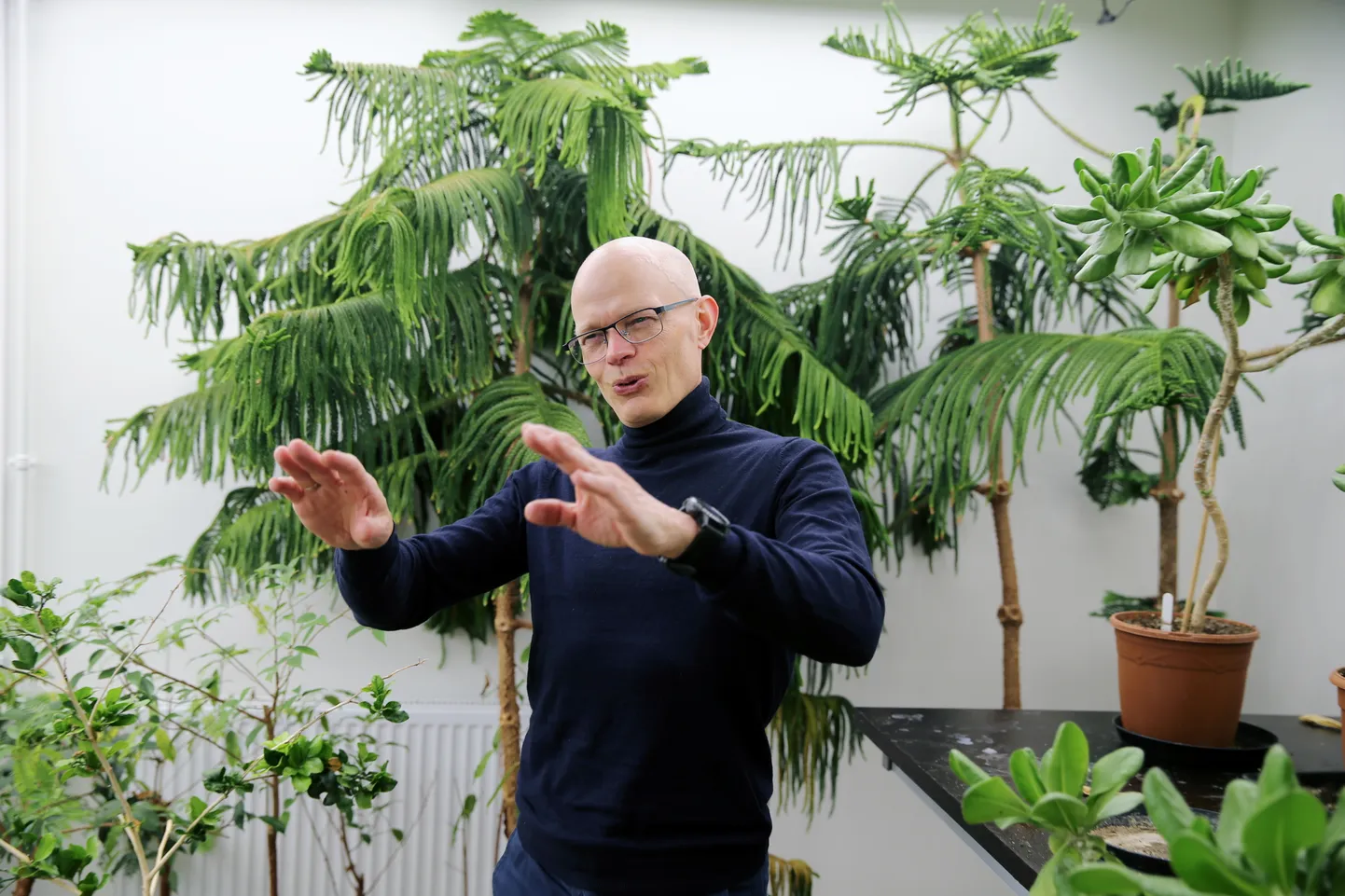 Eesti maaülikooli taimekasvatuse ja taimebioloogia tenuuriprofessor akadeemik Ülo Niinemets on ainus Eesti teadlane, kes on selle grandi pälvinud teist korda.