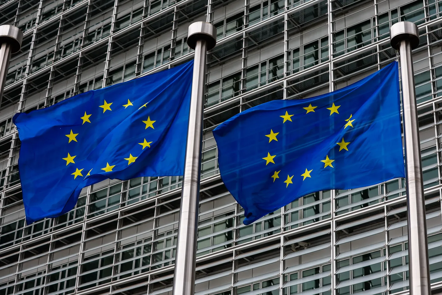 Euroopa Liidu lipud lehvimas.