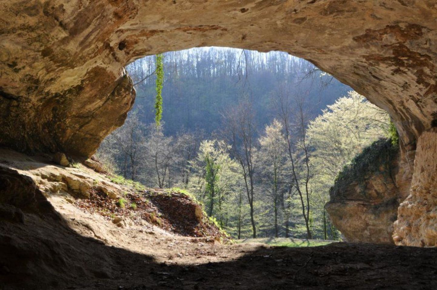 Sissepääs indija koopasse Horvaatias, kust leiti ka ühed uuringus kasutatatud inim-DNAd sisaldavad setted.