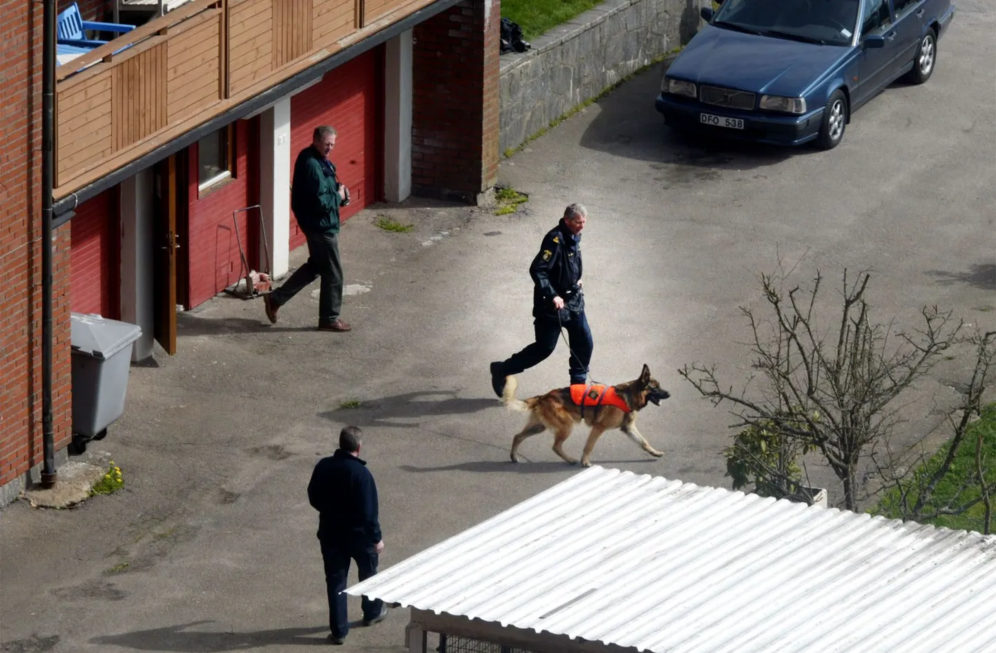 Rootsi politsei salarelv – spermakoerad