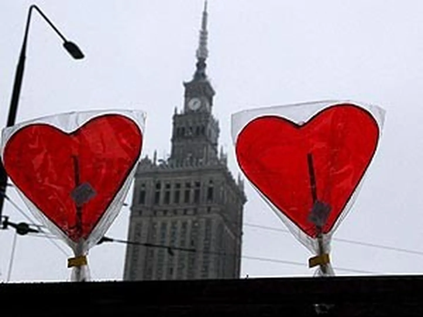 Raksta foto