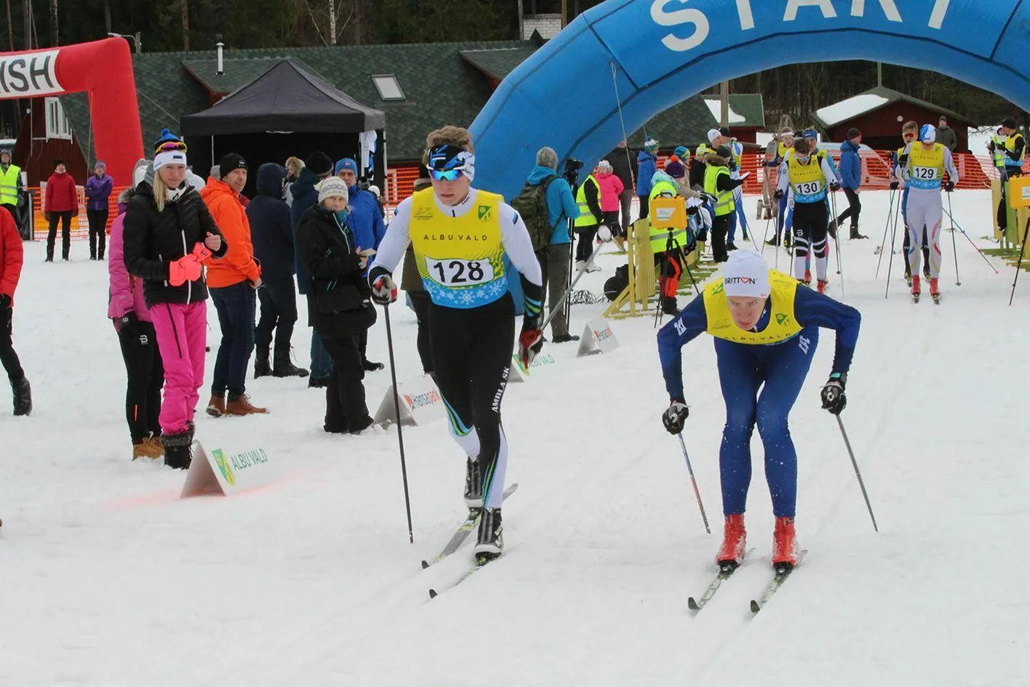 Valgehobusemäe suusa- ja puhkekeskuse radadel peetaval Albu suusasõidul Jaak Mae karikatele on Järvamaa spordiürituste kalendris kindel koht. Tänavu jääb võistlus kehvade lumeolude tõttu ära.