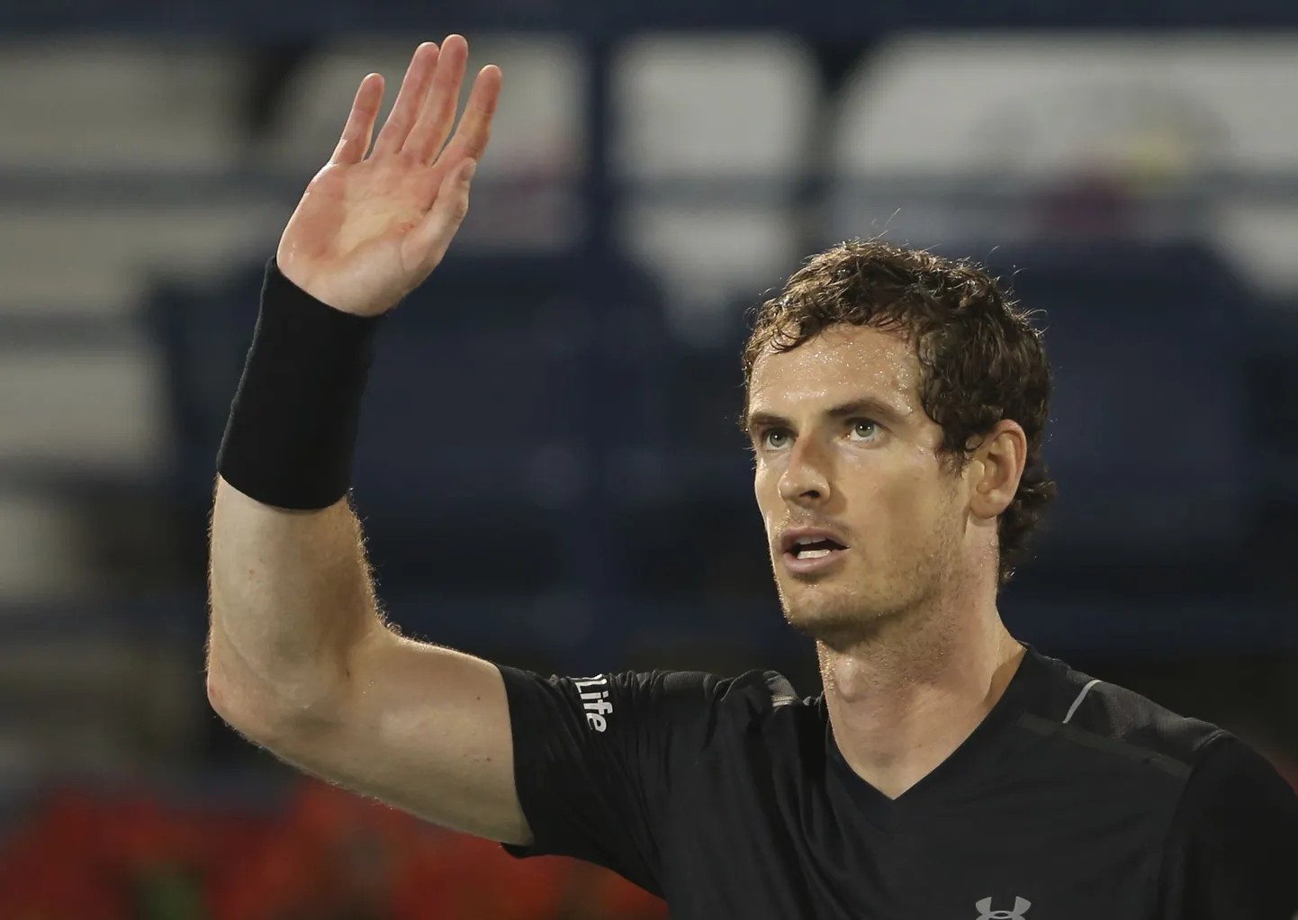 Andy Murray