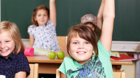 Разработанные в Эстонии методики обучения могут быть использованы в российских школах
