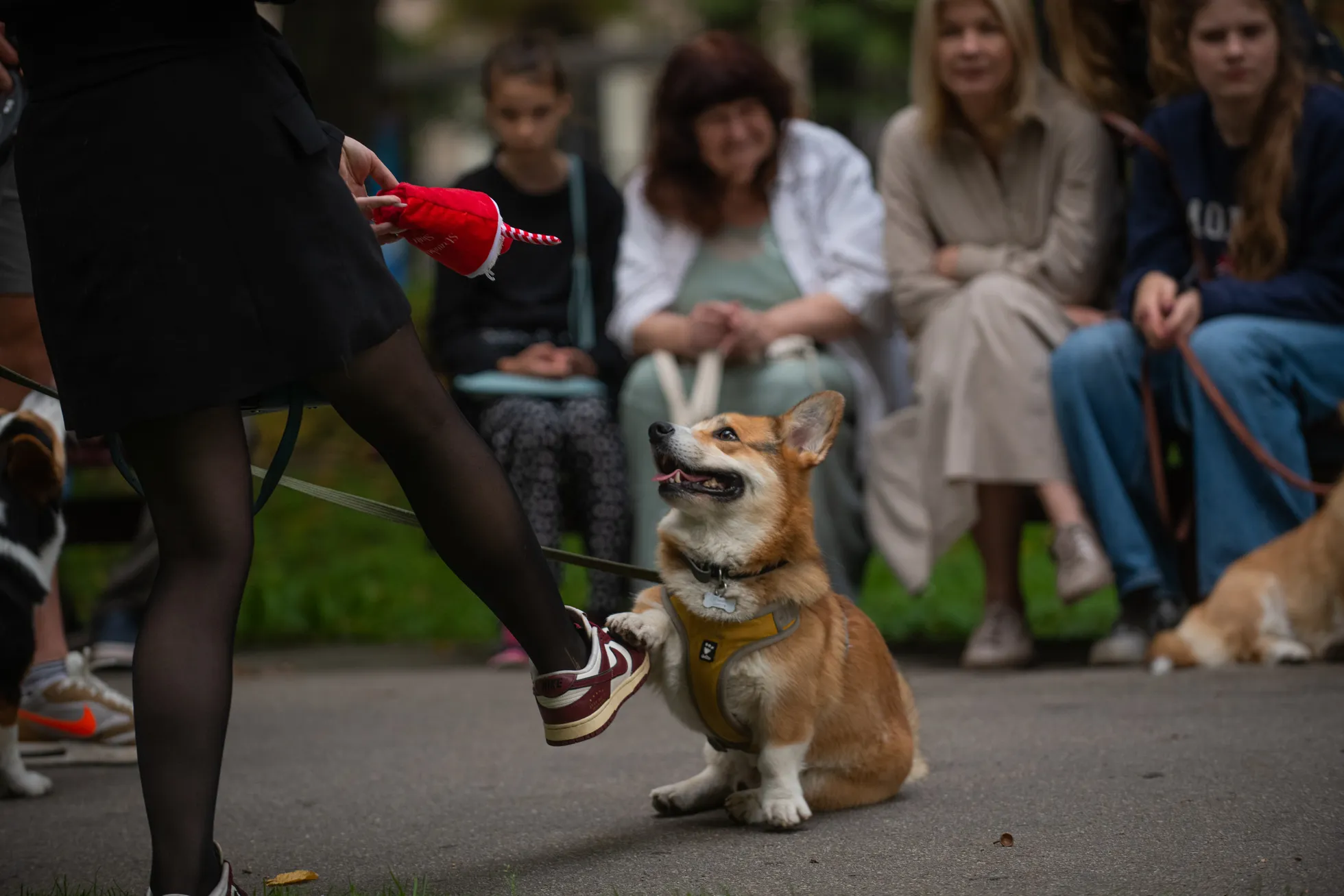 Raksta foto