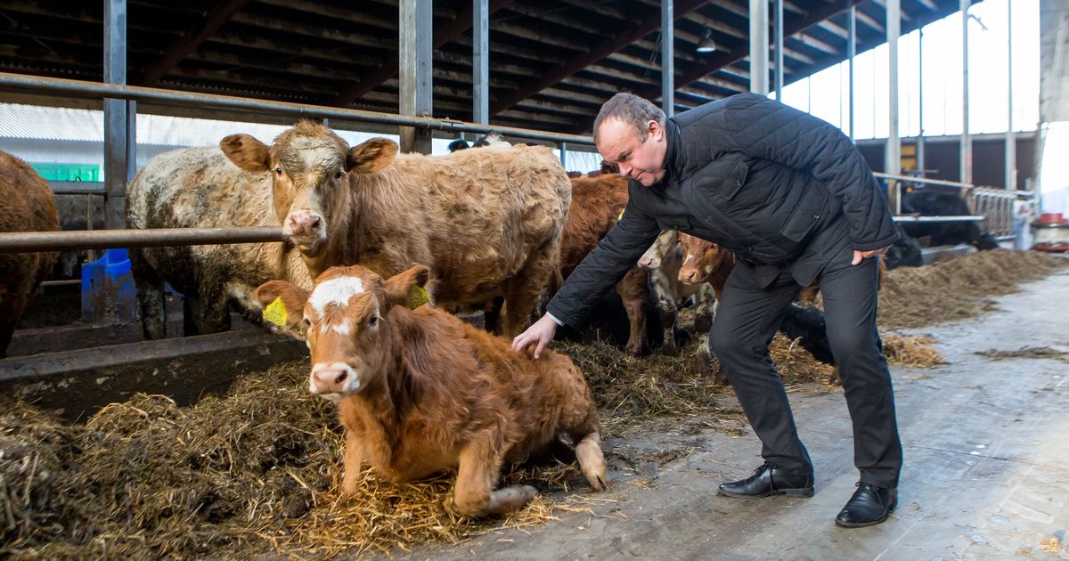 Ajast ja arust eksitav maine tekitab farmides tööjõupõuda