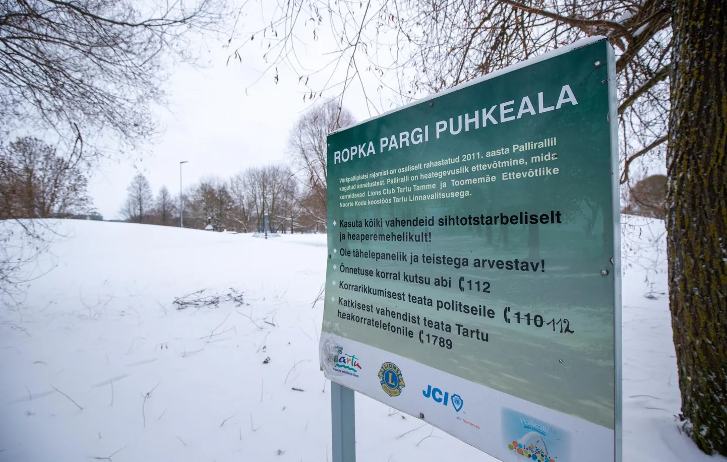 Ropka parki on plaanis suusarajad sisse ajada küll, kuid millal, see on veel lahtine.