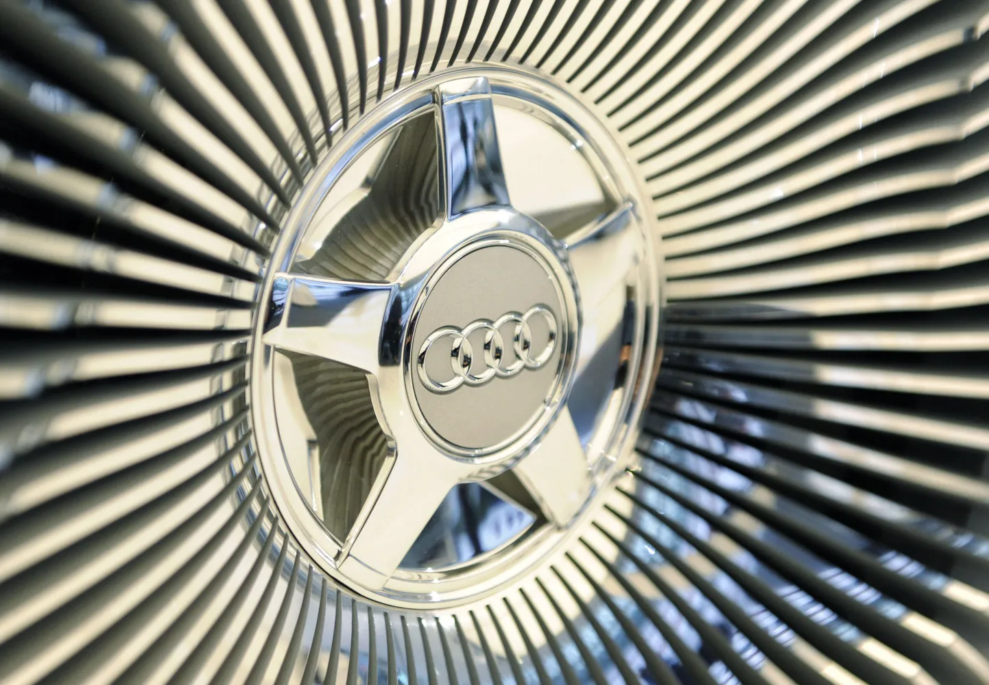 Audi logoga ilukilp