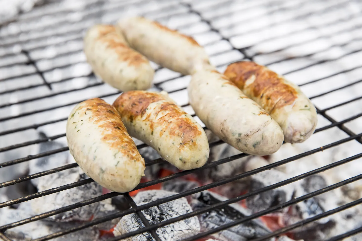 10-sentimeetrine grillvorst