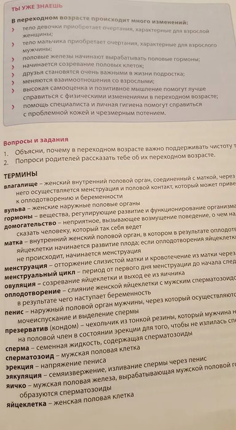 Фото статьи
