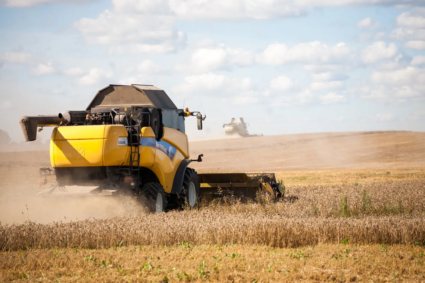 OÜ Estonia kombain vilja lõikamas tütarettevõttes Sõrandu Farm OÜs. Foto on illustratiivne.