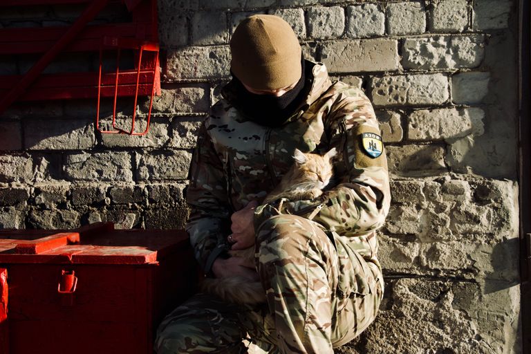 Боец полка «Азов» Национальной гвардии Украины в Мариуполе с котиком в руках.