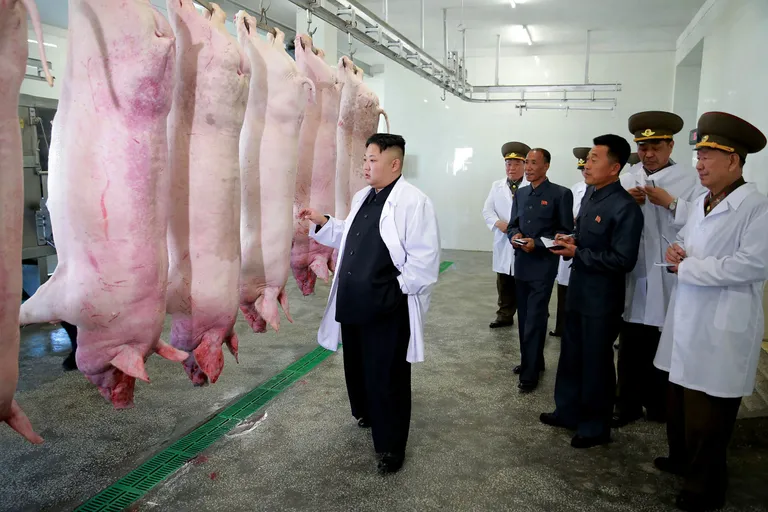 Kim Jong-un Põhja-Korea õhujõudude tapamajas