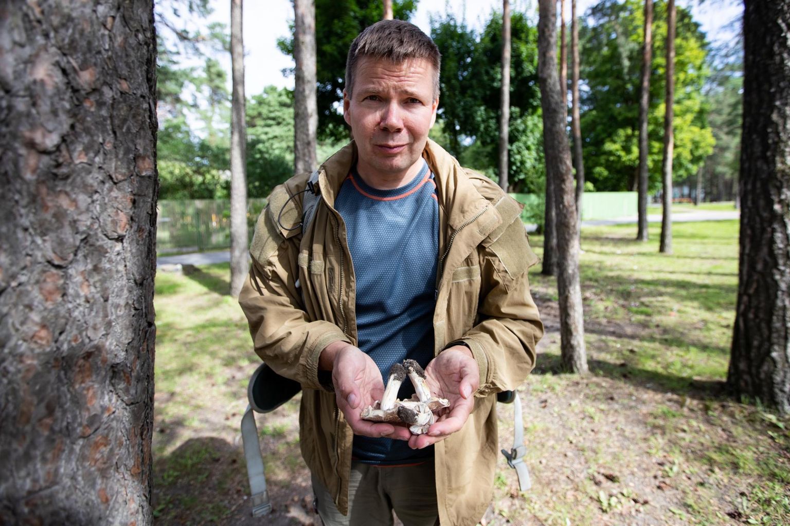 Mükoloog Veiko Kastanje koos kärbatanud mürkšampinjonidega, mida siiani oli leitud vaid Tartu parkidest, kuid mis nüüd on levinud ka Tallinna.