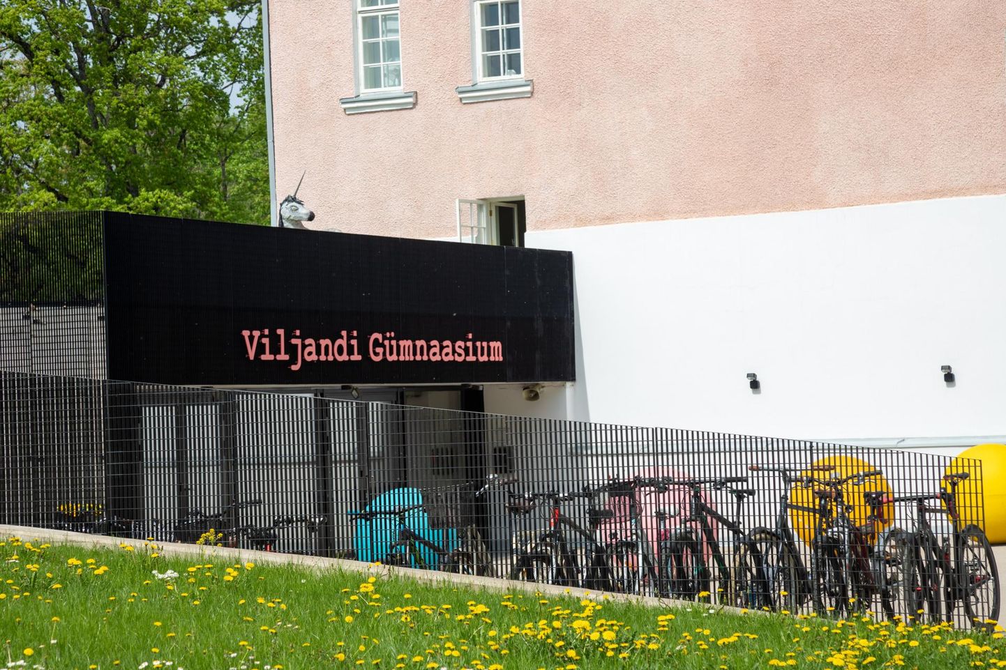 Viljandi gümnaasium on aasta kool 2019.