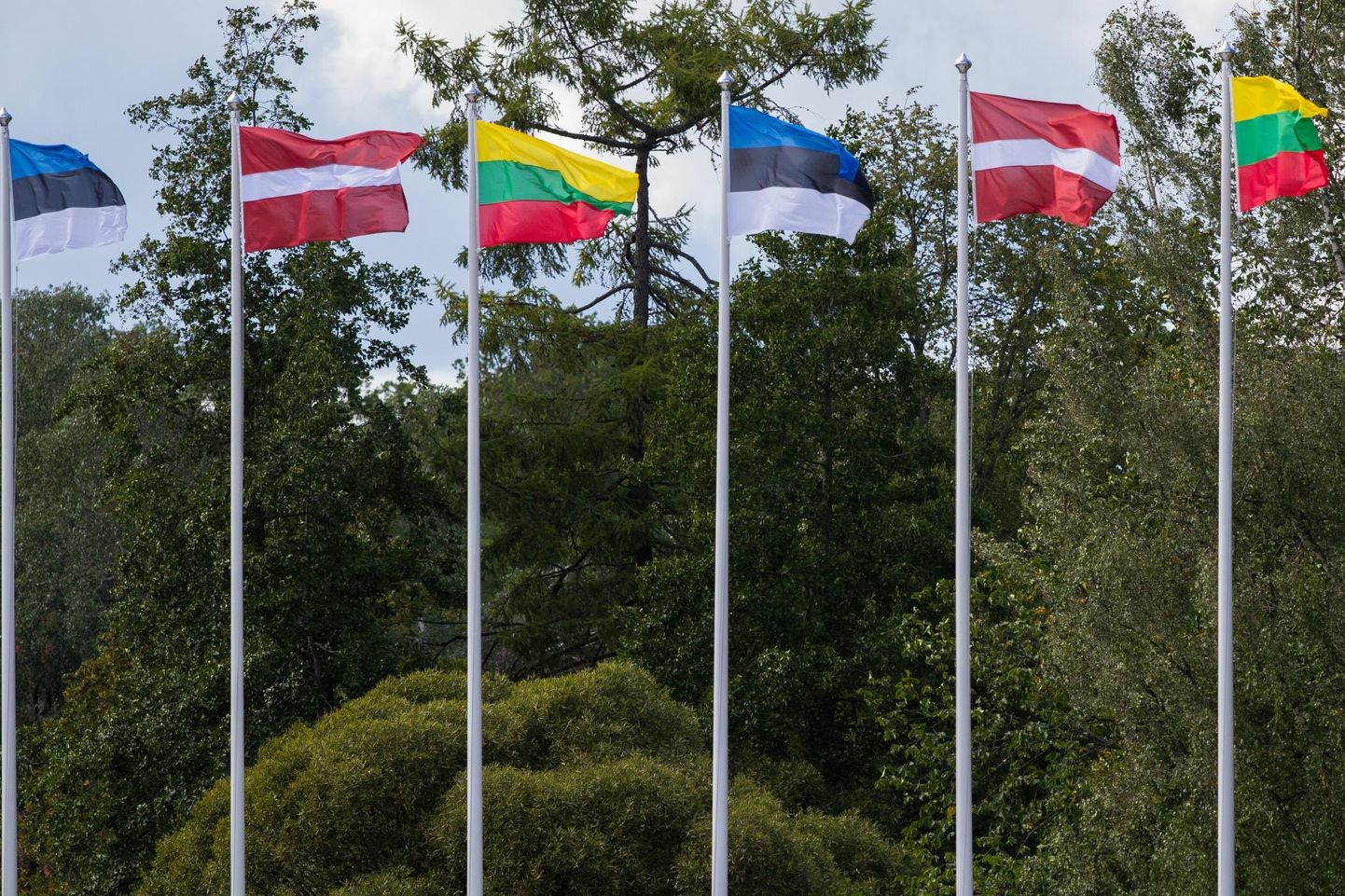 Balti riikide lipud.