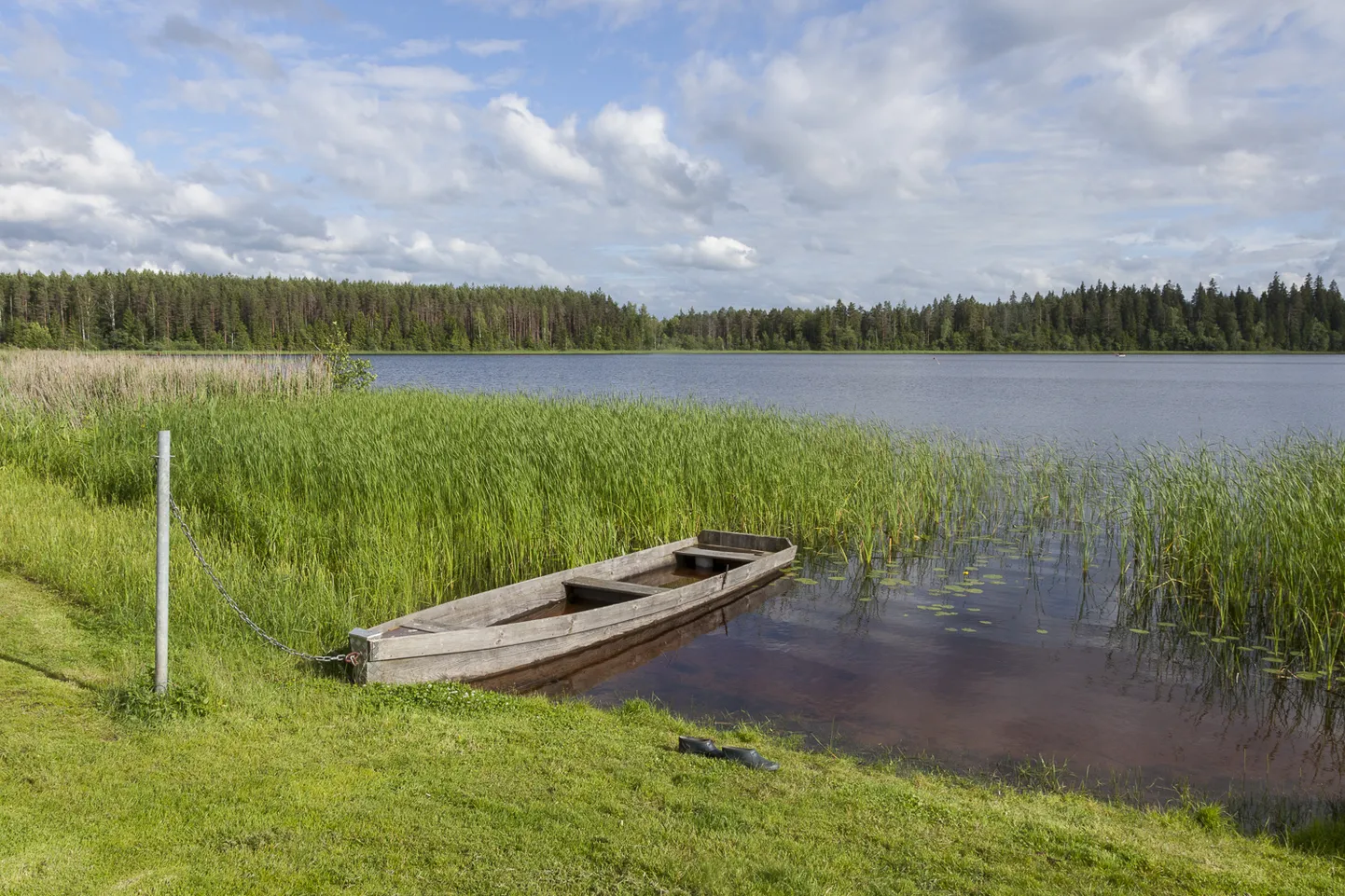 Paberkandjal kalastuskaardi taotlusi 2022. aasta kalastushooajaks võetakse vahetu kontaktina Keskkonnaameti kontorites vastu vaid 1. detsembri.