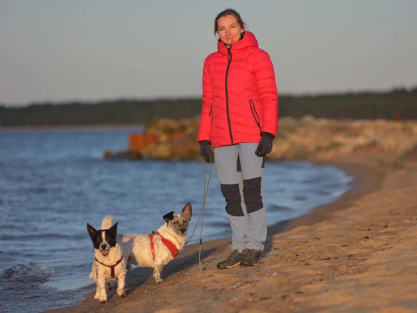 Laura Nirgi oma koertega jalutamas.