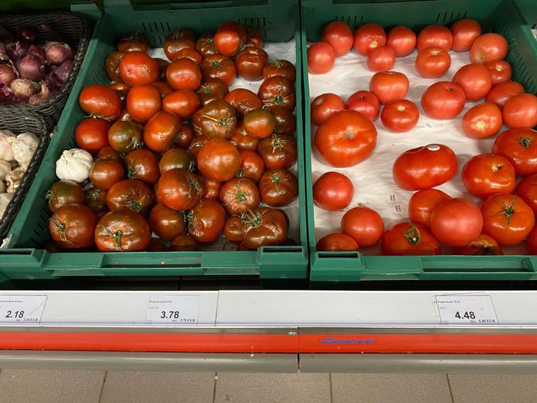 Mädanenud tomatid Grossi toidupoes kergitasid Grossi ostukorvi hinda ja kallutasid valiku kallima toote poole. FOTO: