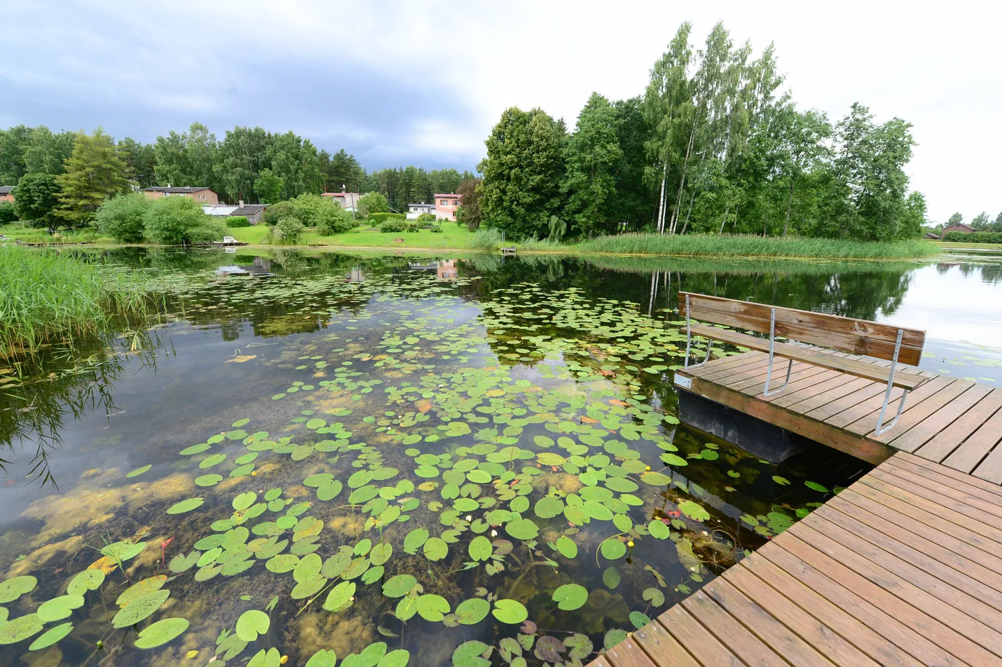 Melliste paisjärv loodetakse enne triatloni algust puhtaks teha, et võistlejatel oleks parem ujuda.