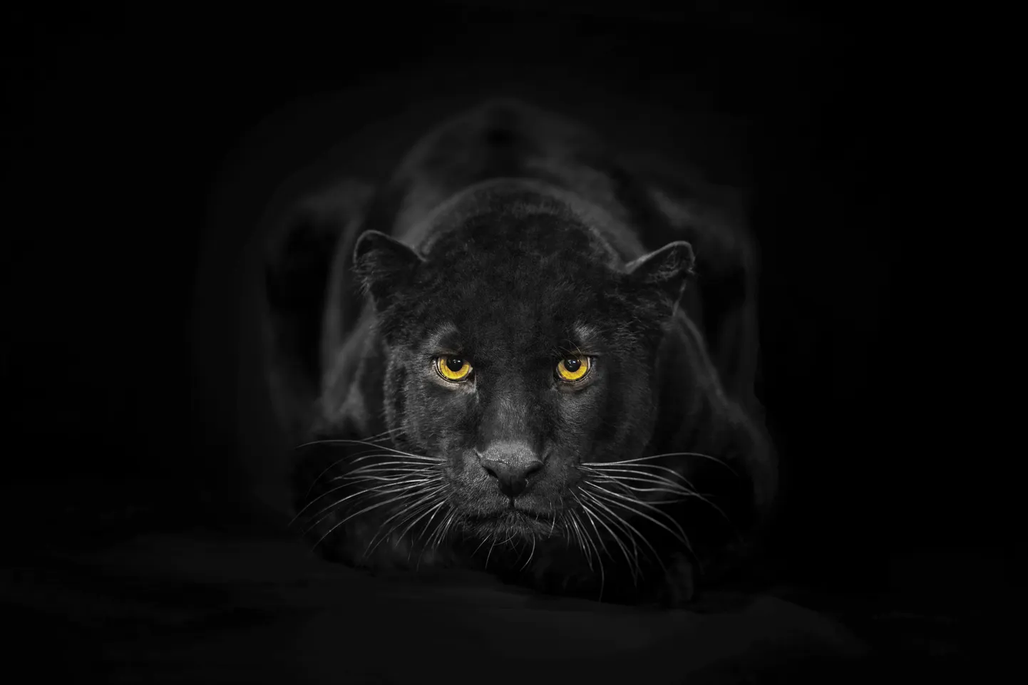 Ilustratīvs foto.