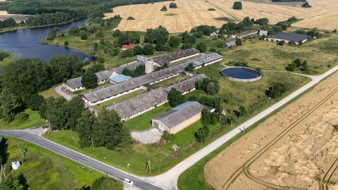 Haisu- ja tülipilv hõljub Savikoti kohal