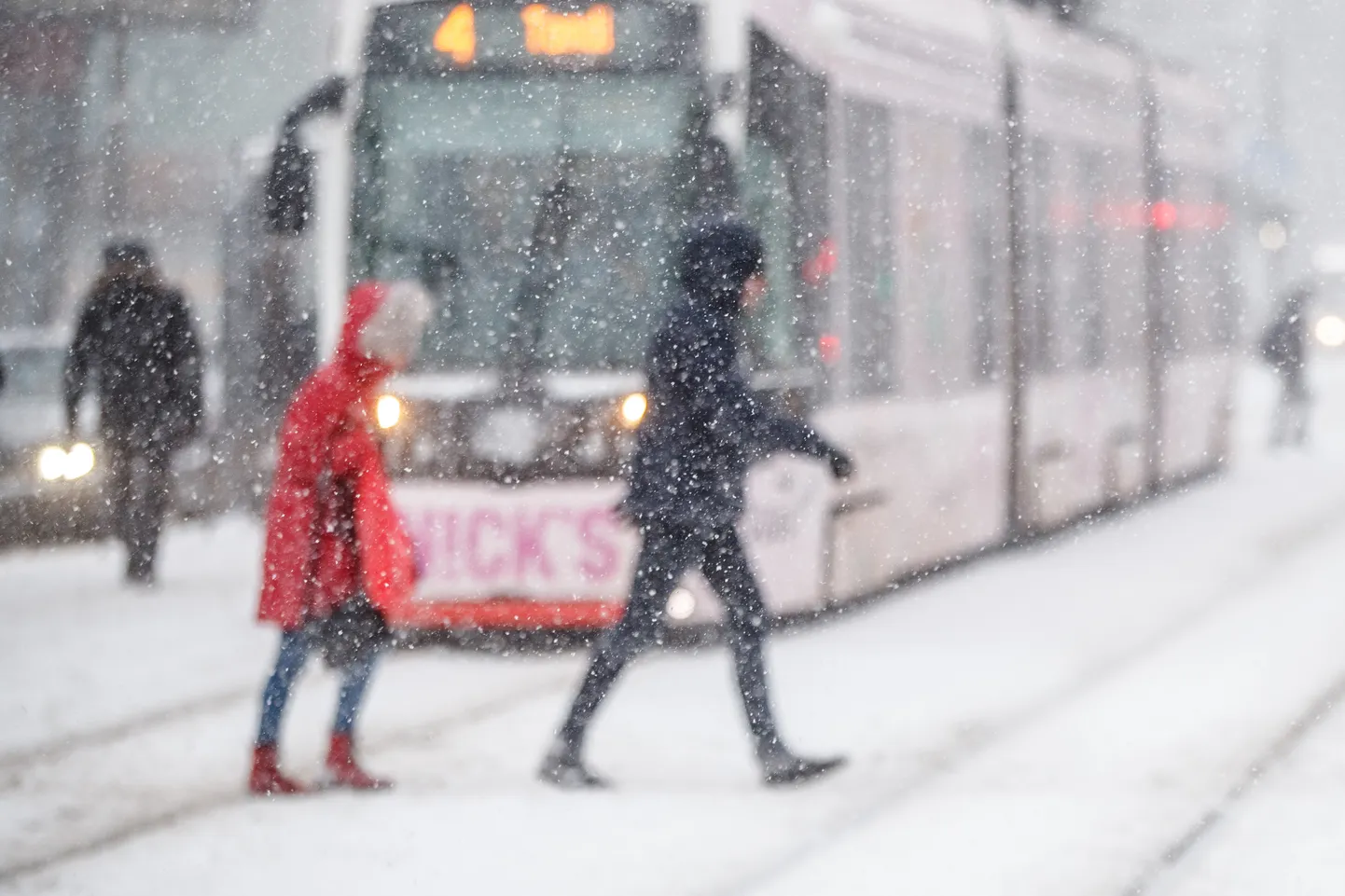 Lumesadu Tallinna südalinnas. Pilt on illustreeriv.