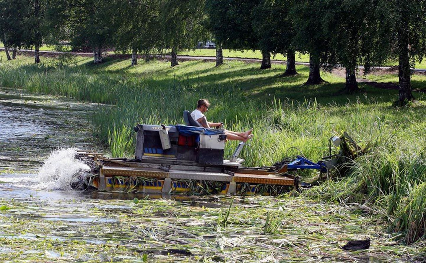 Viljandis on igal suvel niidetud nii Viljandi kui Paala järve randa. Sel aastal tuleb vesikasve niita tõenäoliselt kolm korda.