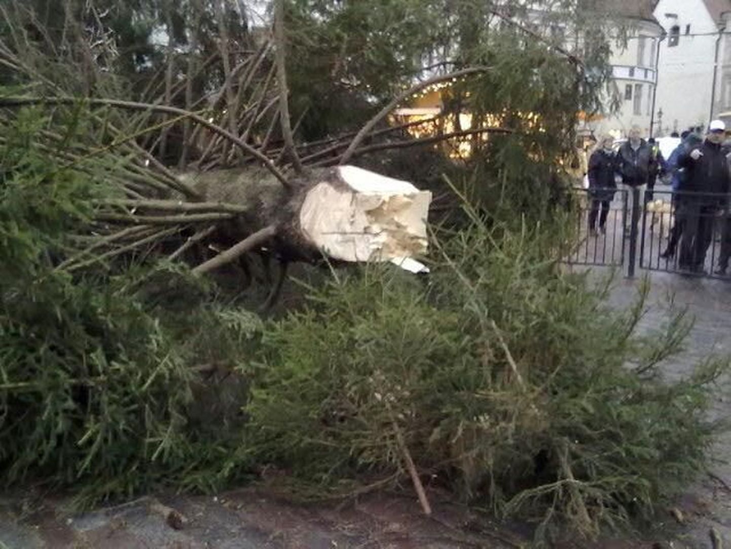 На Ратушной площади упала елка