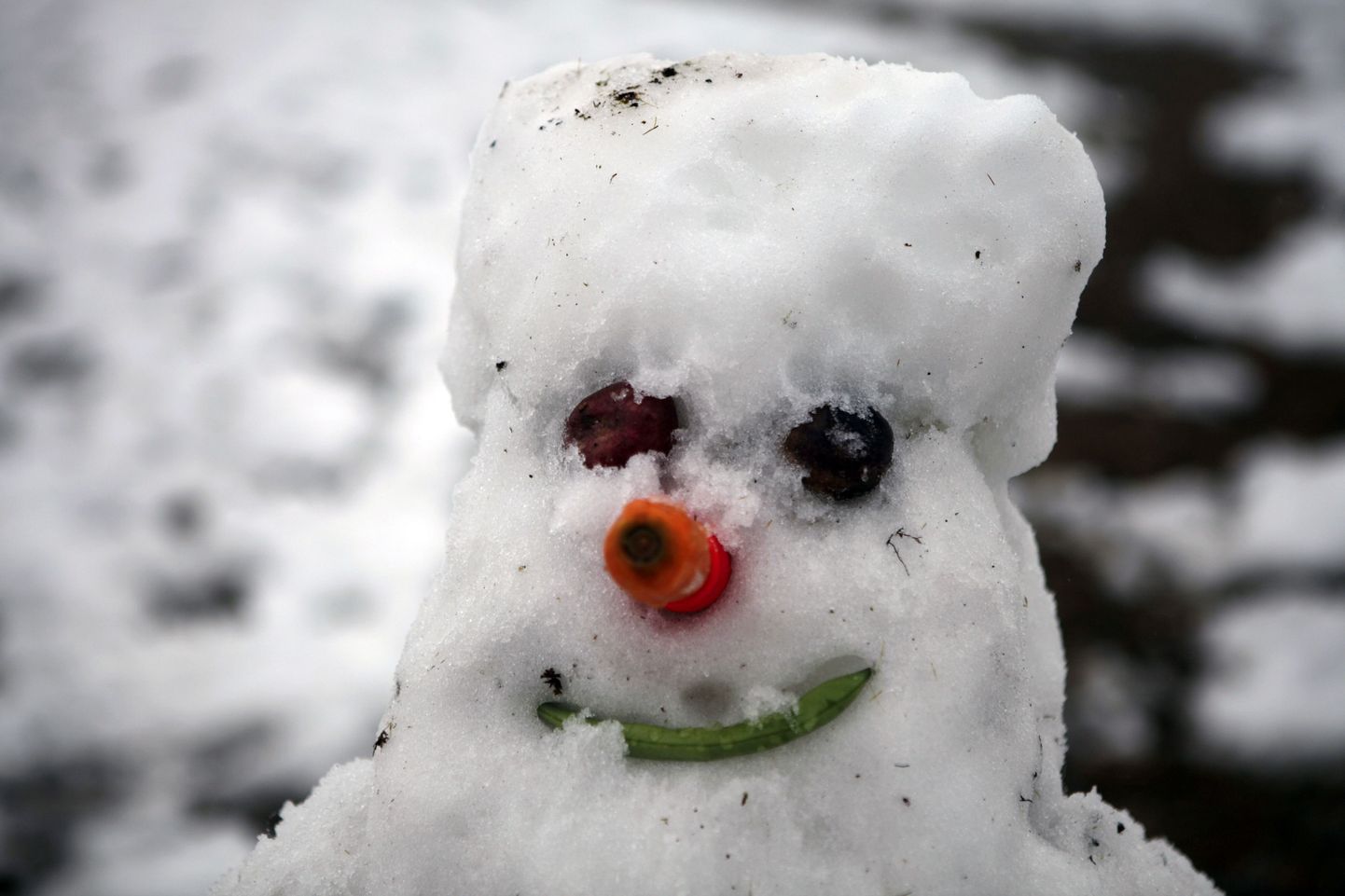 Briti politseile teatati varastatud lumememmest