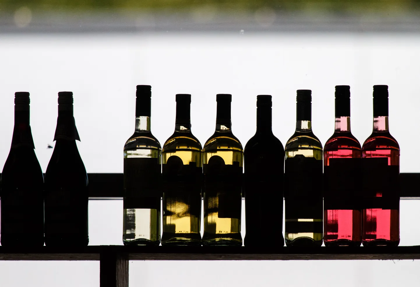 Продажи алкоголя в Финляндии в целом сокращаются, однако популярность белых вин продолжает расти.