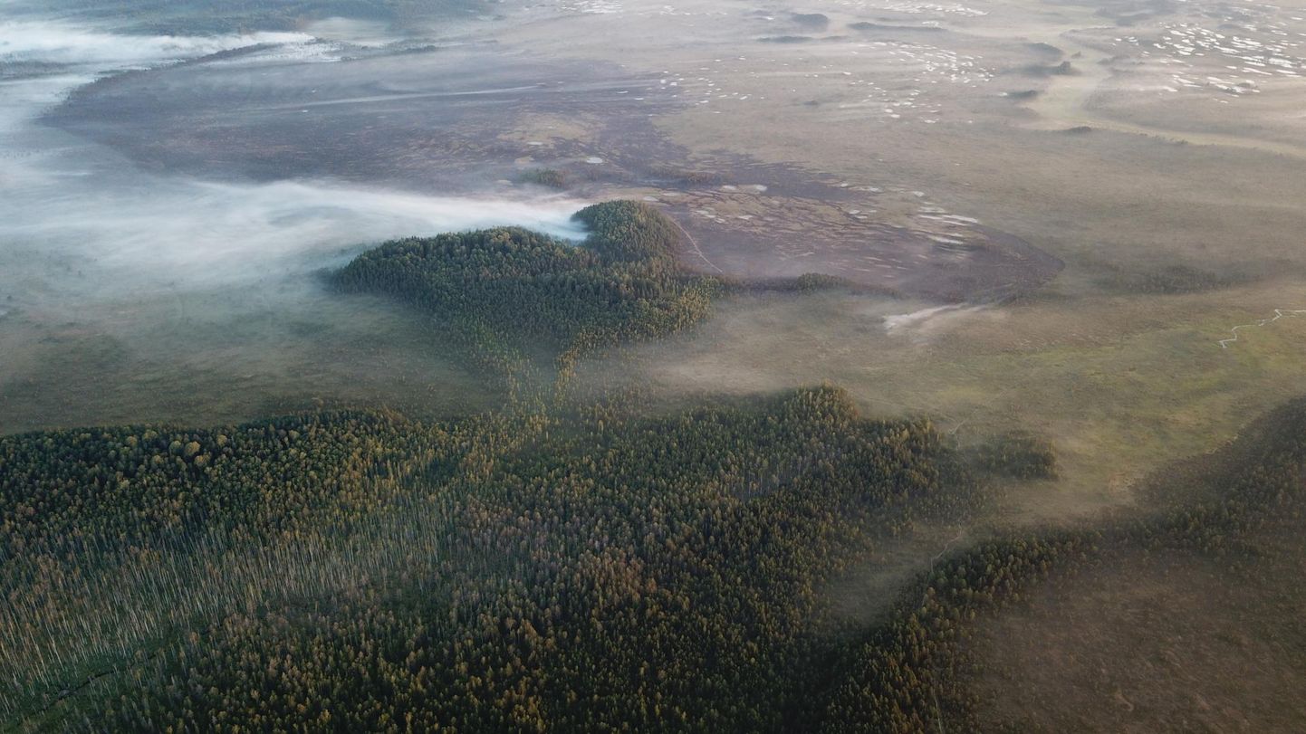 Metsapõleng Lätis Mazsalaca maakonnas.