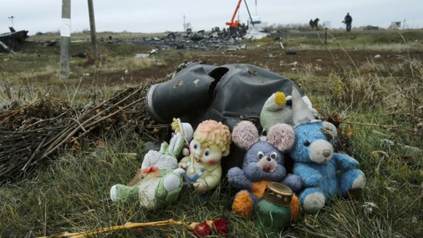 Мягкие игрушки на месте крушения Boeing рейса MH17 под Донецком