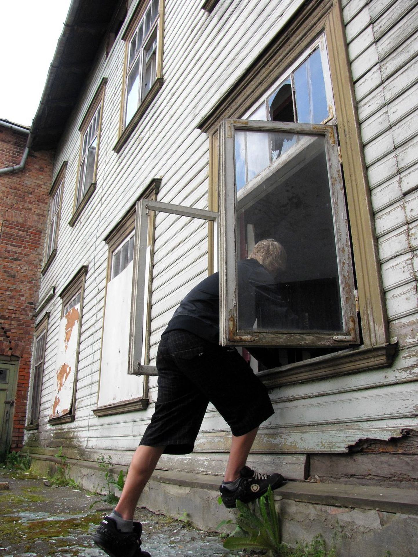 Vargad on suvel varmad ära kasutama lahti jäetud aknaid.
