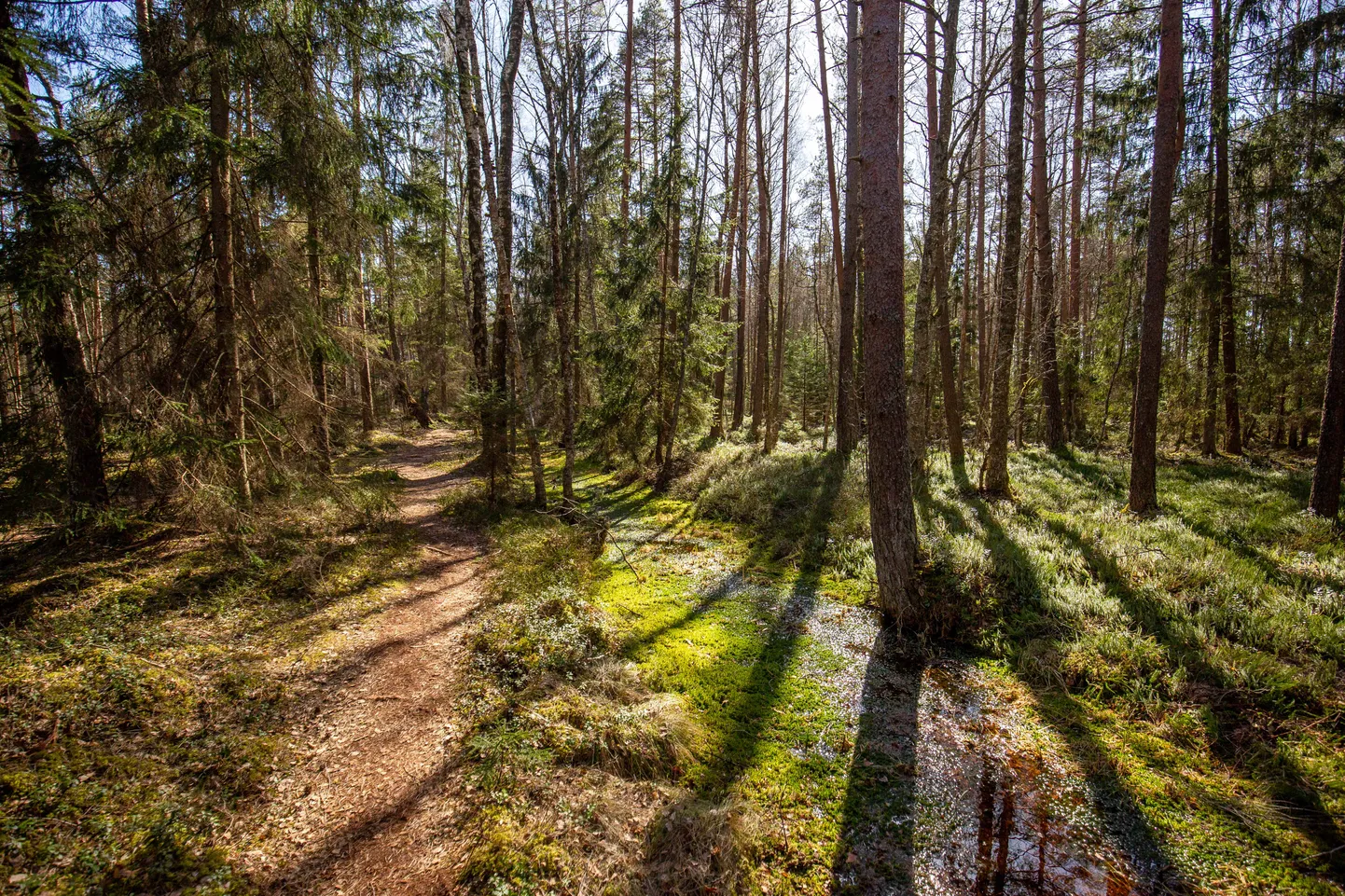Väätsa matkarada