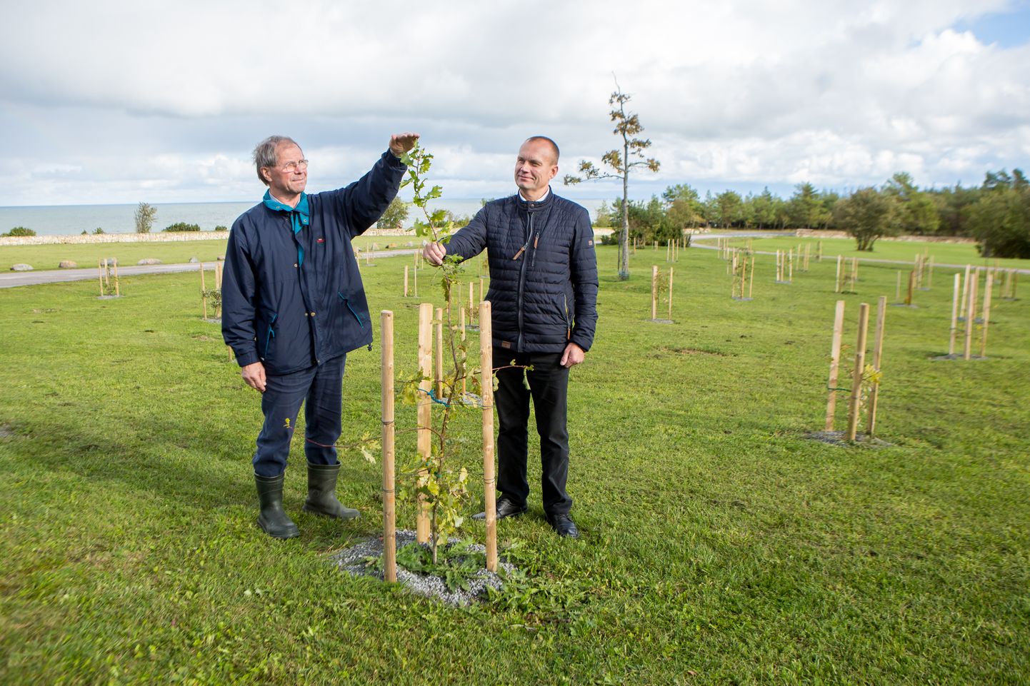 Metsainsener Leo Filippov (vasakul) ja Panga panga arendaja Alver Sagur hindavad puukese kasvu.