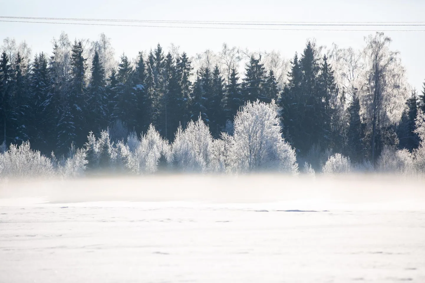 Lähipäevil võib tulla juba kuni 17 miinuskraadi.