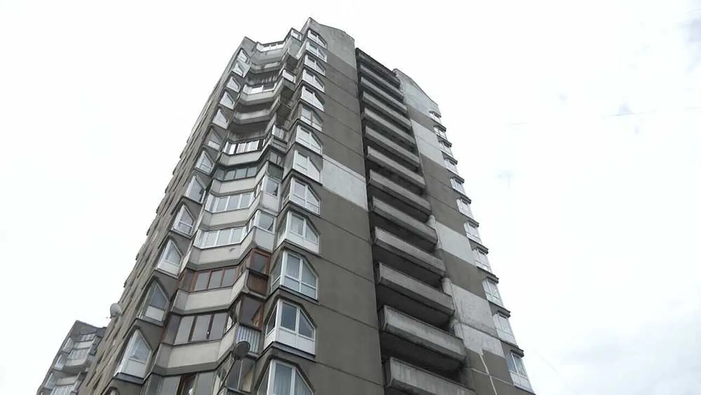 Фото статьи