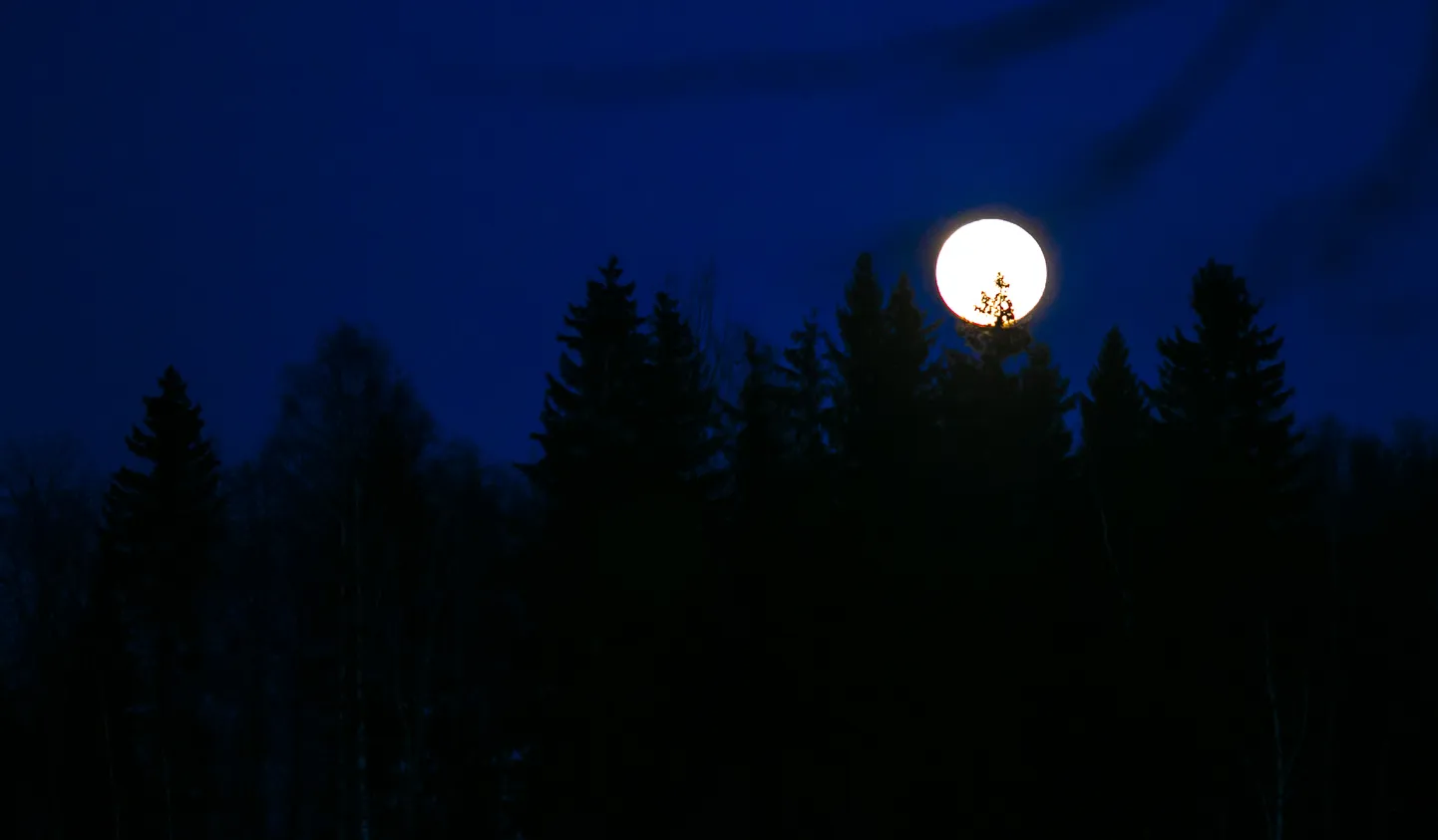 Täiskuu.