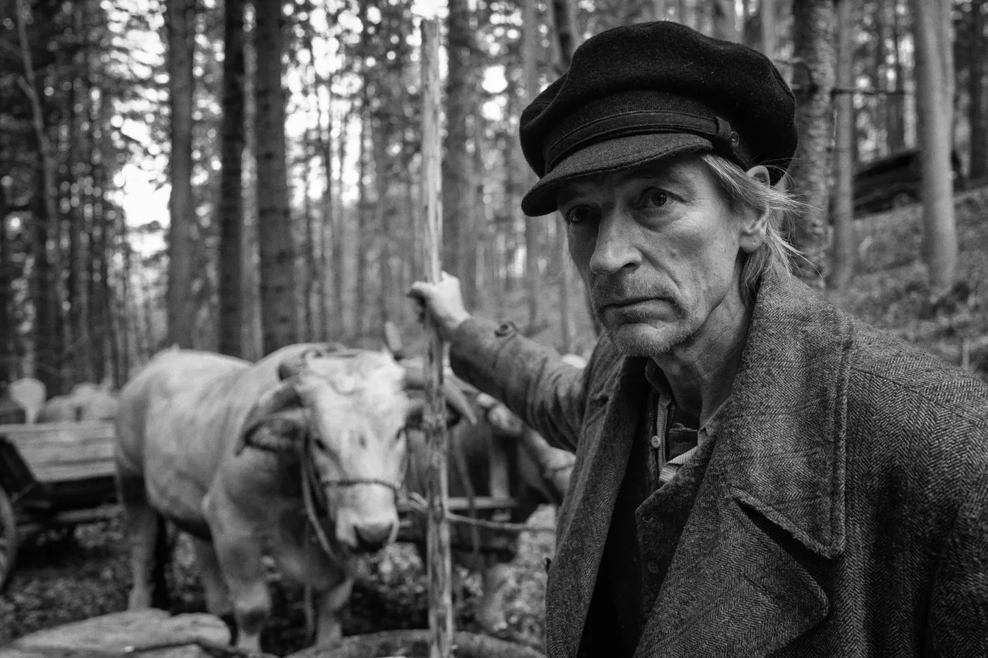 Джулиан Сэндс в исторической драме «Раскрашенная птица».