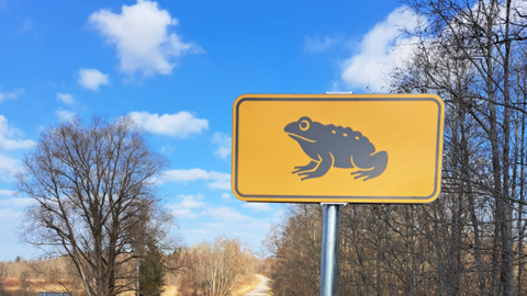 Krupju migrācijas vietās uzstādītas īpašas ceļa zīmes