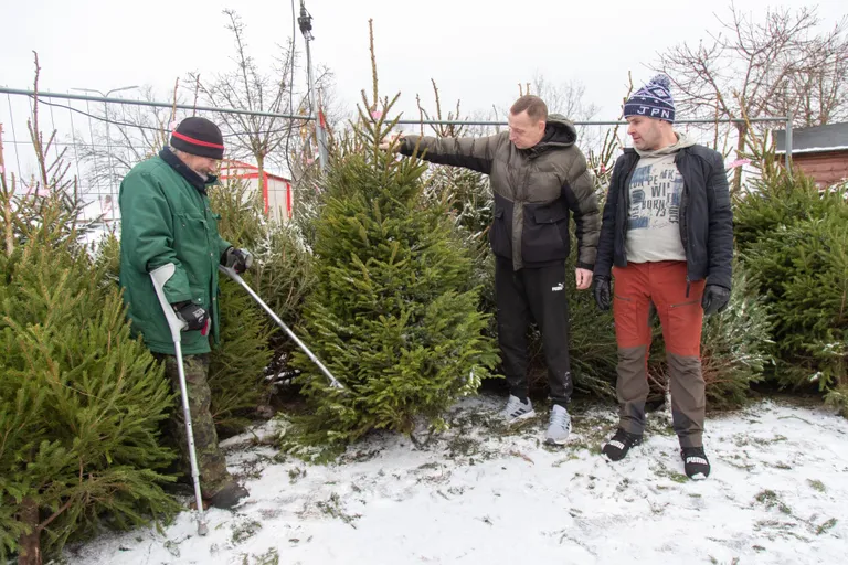 Endel Soosaarel täitus tänavu jõulupuumüügi juubel: niimoodi on ta pensionilisa teeninud juba kümnel aastal.