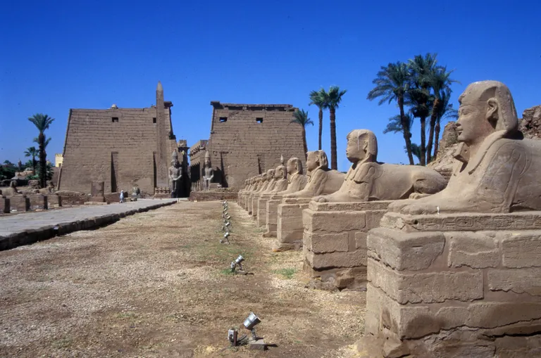 Luxori templi sfinkside allee