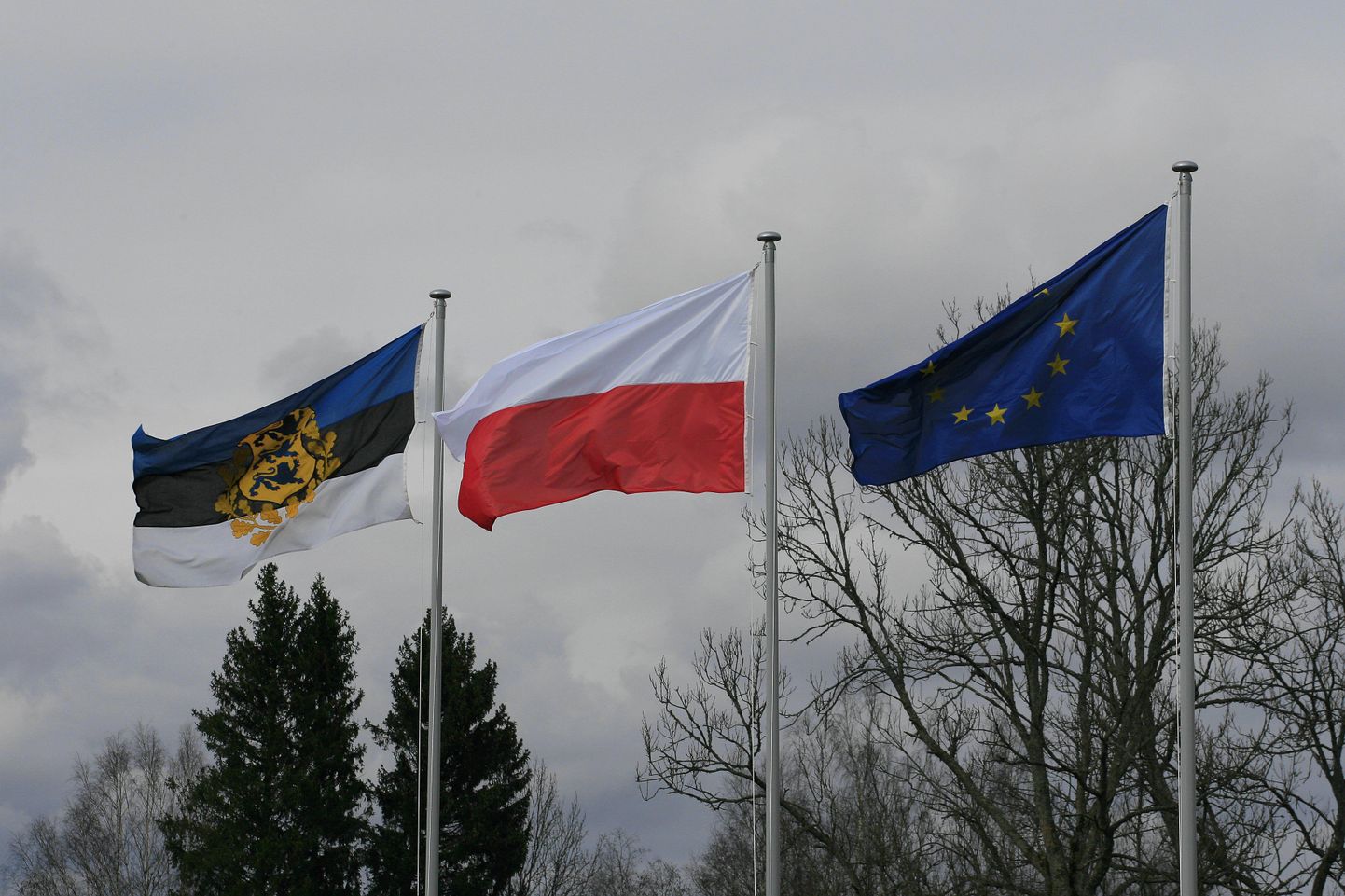 Eesti Vabariigi presidendi, Poola Vabariigi ja Euroopa Liidu lipud Ärma talu lipumastides.