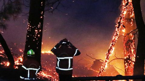 Prantsusmaa loodeosas evakueeriti metsapõlengu tõttu kümneid inimesi