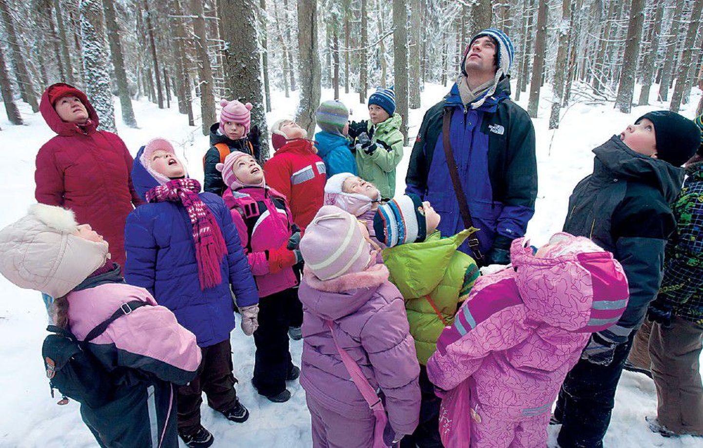 Магистрант ТУ, натуралист Даниэль Юхов знакомит детей с правилами посещения леса, рассказывает о животных и учит слушать тишину.